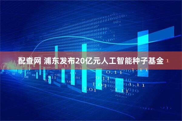 配查网 浦东发布20亿元人工智能种子基金