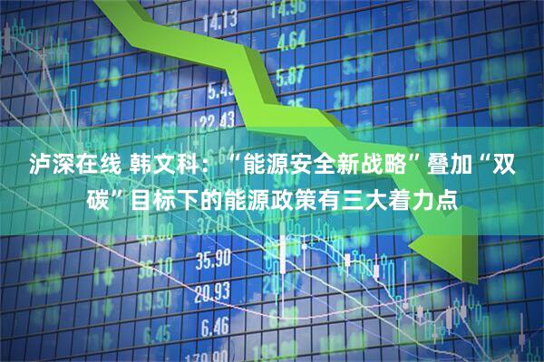 泸深在线 韩文科：“能源安全新战略”叠加“双碳”目标下的能源政策有三大着力点