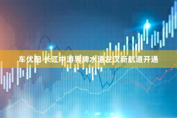 车优配 长江中游界牌水道左汊新航道开通