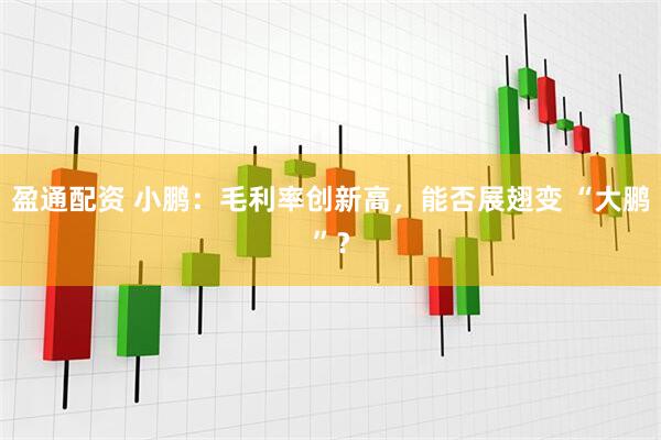 盈通配资 小鹏：毛利率创新高，能否展翅变 “大鹏”？