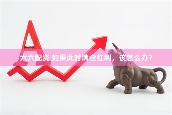 六六配资 如果此时满仓红利，该怎么办？