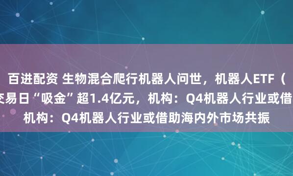 百进配资 生物混合爬行机器人问世，机器人ETF（159770）近3个交易日“吸金”超1.4亿元，机构：Q4机器人行业或借助海内外市场共振