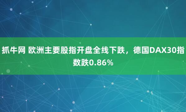 抓牛网 欧洲主要股指开盘全线下跌，德国DAX30指数跌0.86%